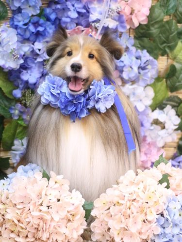 20250626ノアくん